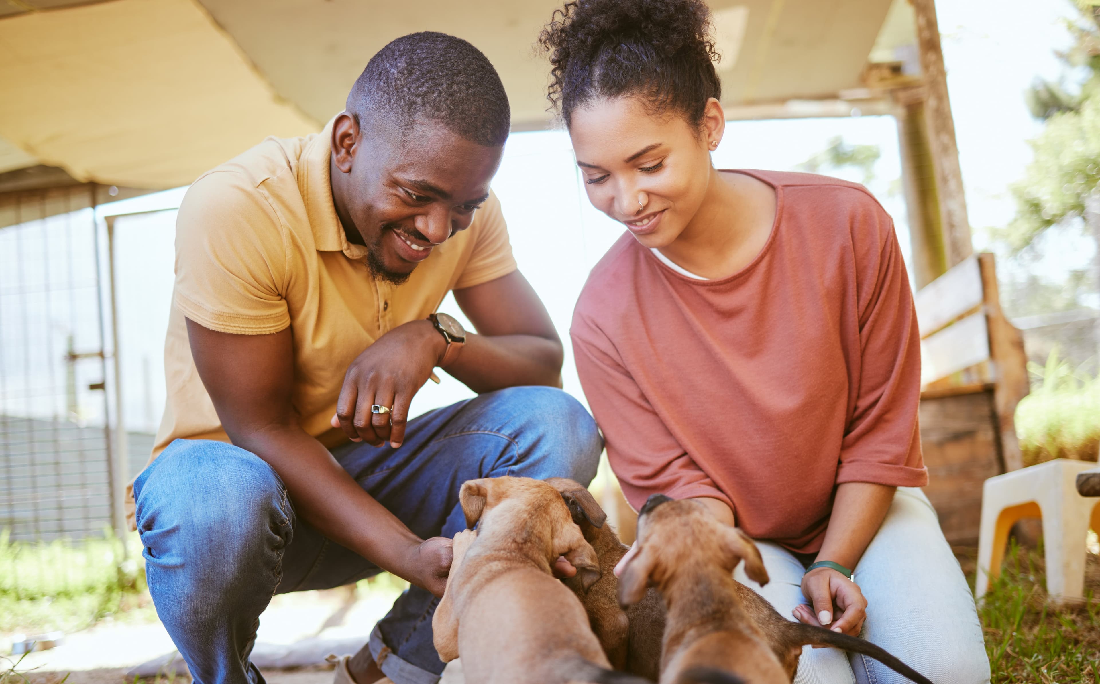 couple with dogs